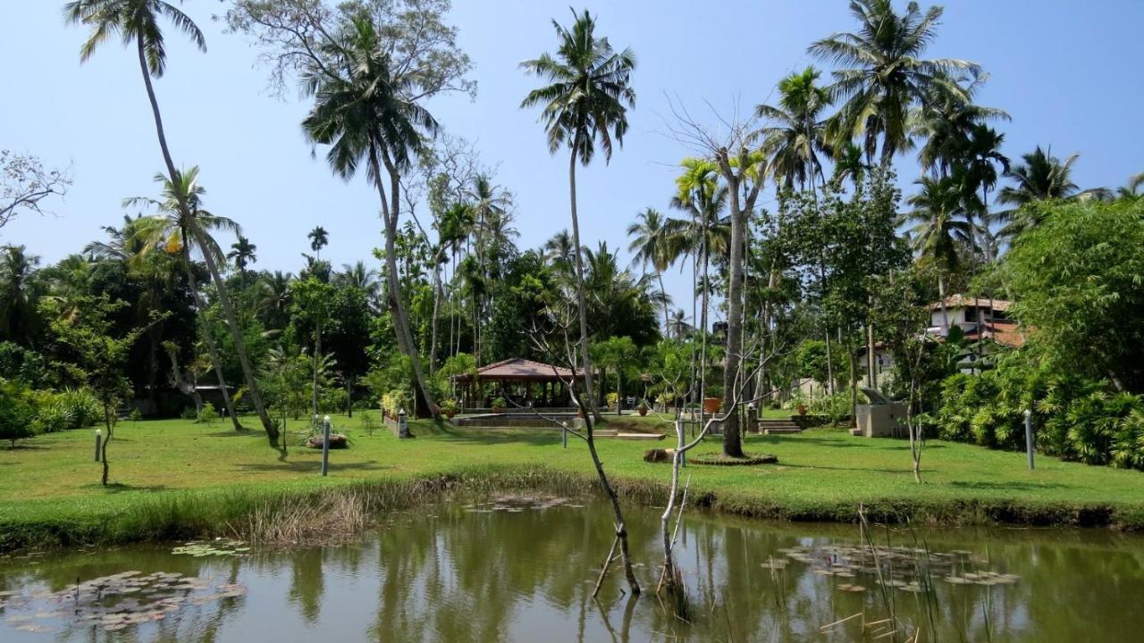 Avalon Village Resort Induruwa Dış mekan fotoğraf