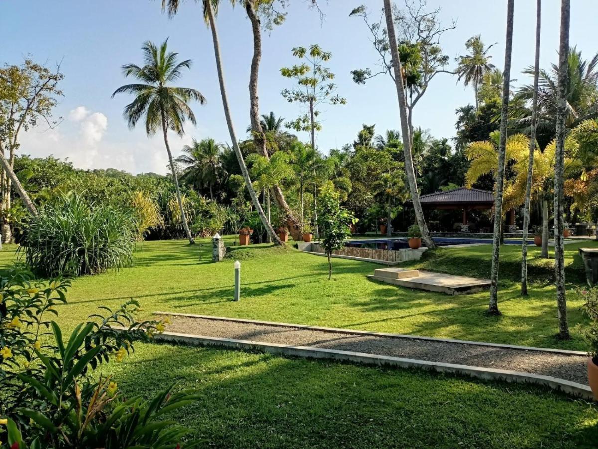 Avalon Village Resort Induruwa Dış mekan fotoğraf