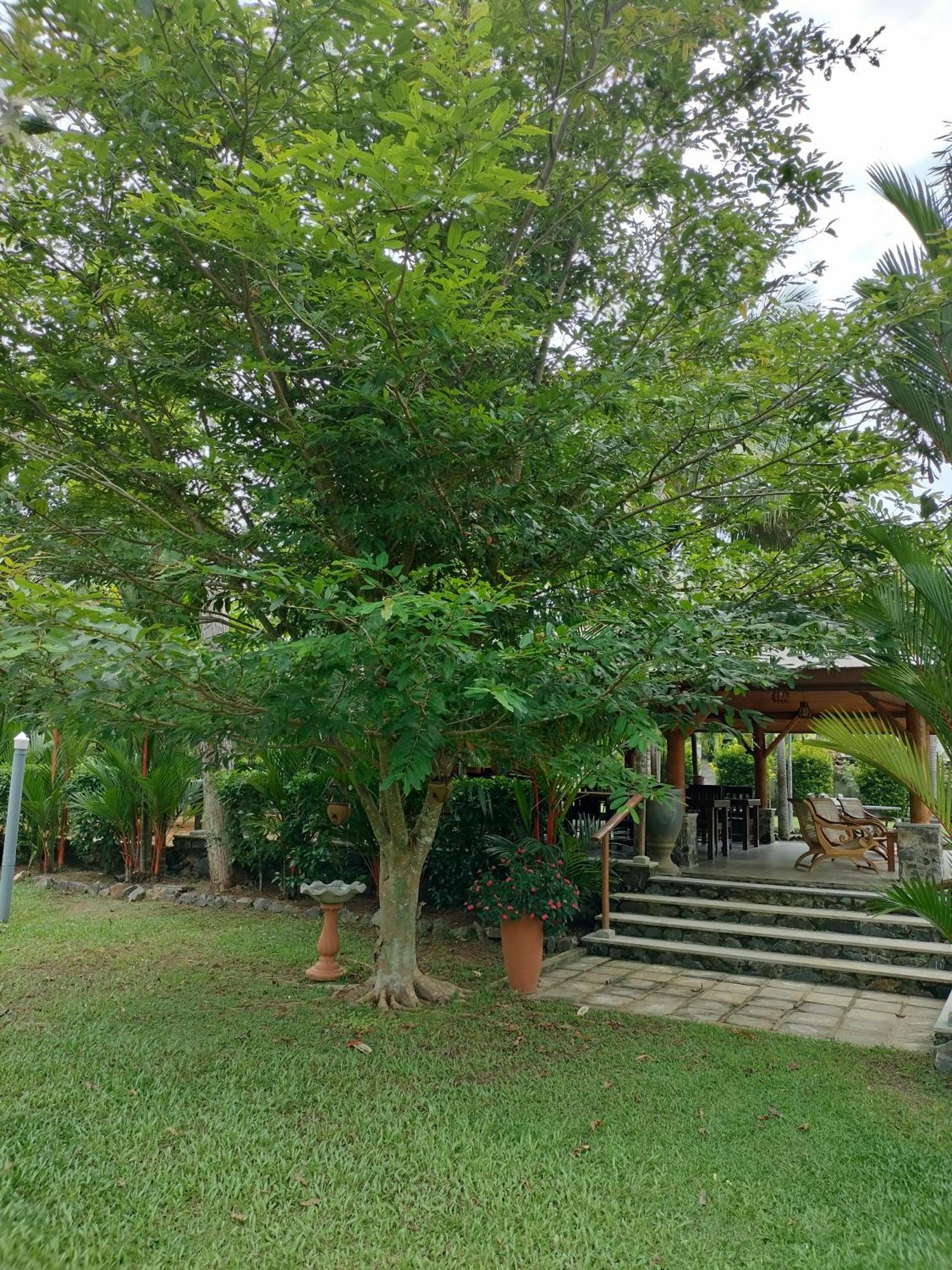 Avalon Village Resort Induruwa Dış mekan fotoğraf