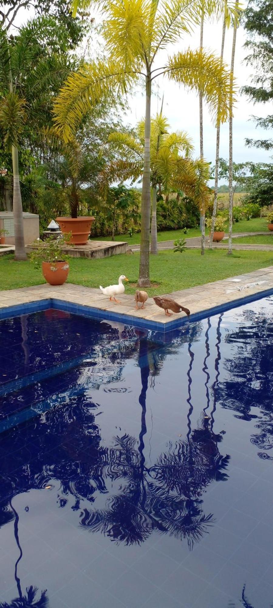 Avalon Village Resort Induruwa Dış mekan fotoğraf
