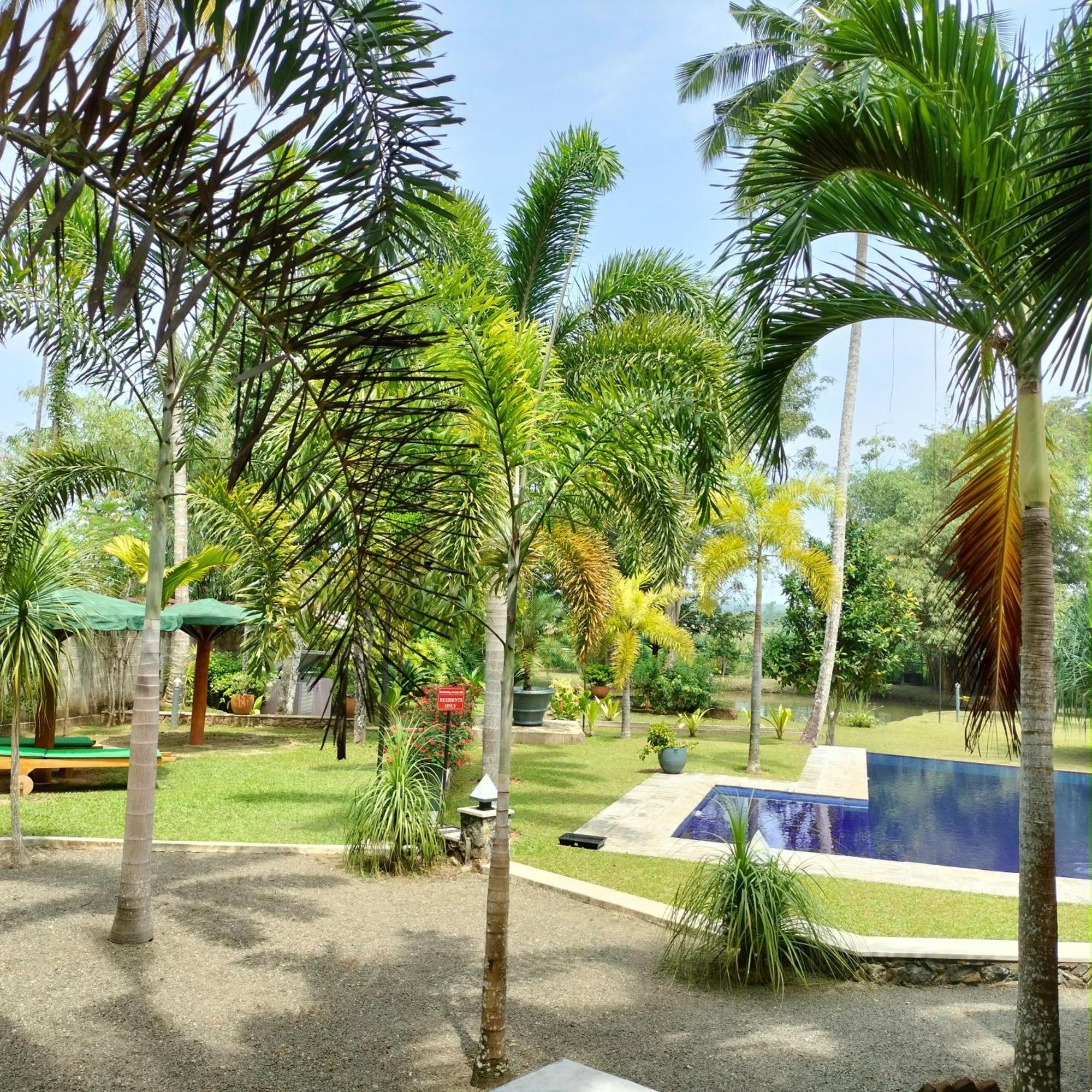Avalon Village Resort Induruwa Dış mekan fotoğraf