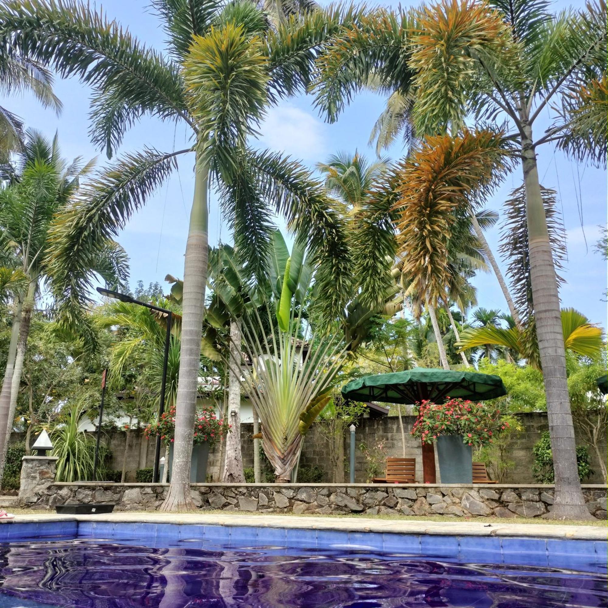 Avalon Village Resort Induruwa Dış mekan fotoğraf
