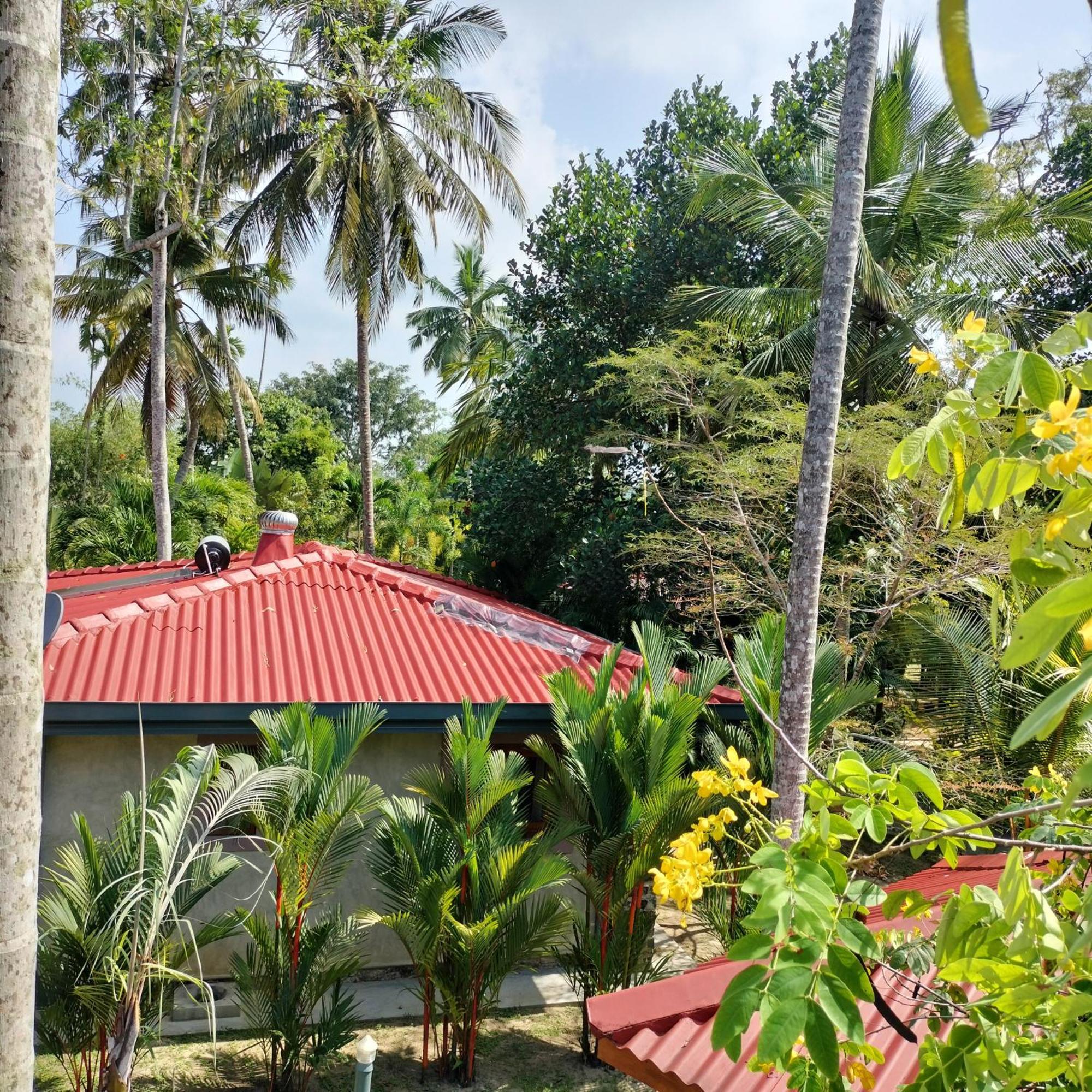 Avalon Village Resort Induruwa Dış mekan fotoğraf